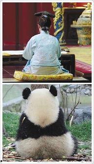 做一回娱乐圈吃瓜群众,揭秘明星幕后故事，做一回吃瓜群众！